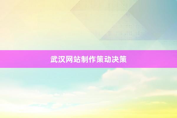 武汉网站制作策动决策