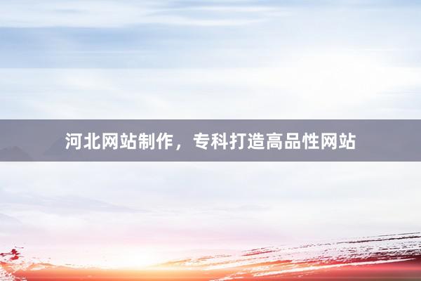 河北网站制作，专科打造高品性网站