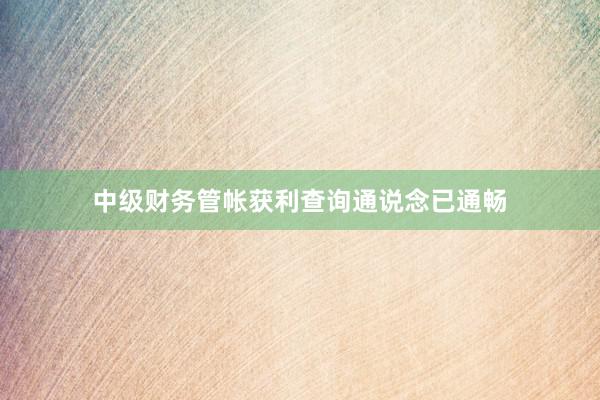 中级财务管帐获利查询通说念已通畅