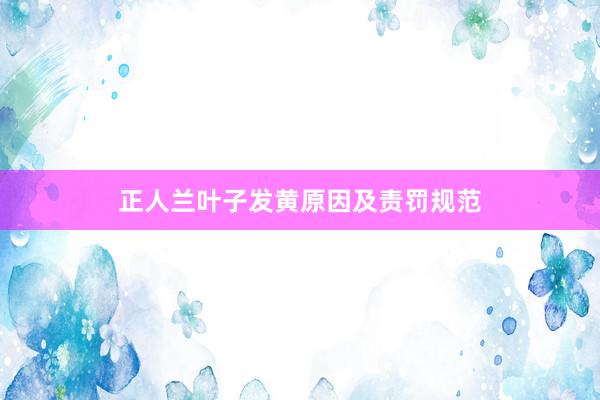 正人兰叶子发黄原因及责罚规范