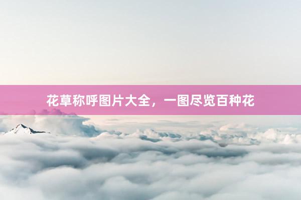 花草称呼图片大全，一图尽览百种花