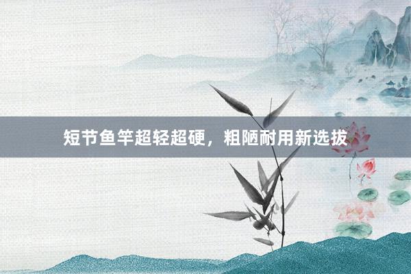短节鱼竿超轻超硬，粗陋耐用新选拔